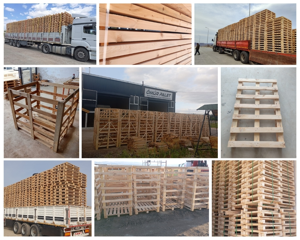 Best Houten Kisten, Europallets Groothandel Kopen